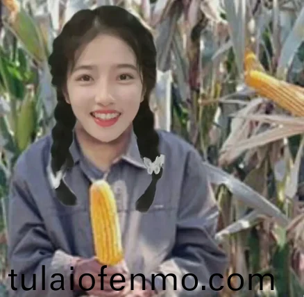 欧韩美日大片免费观看